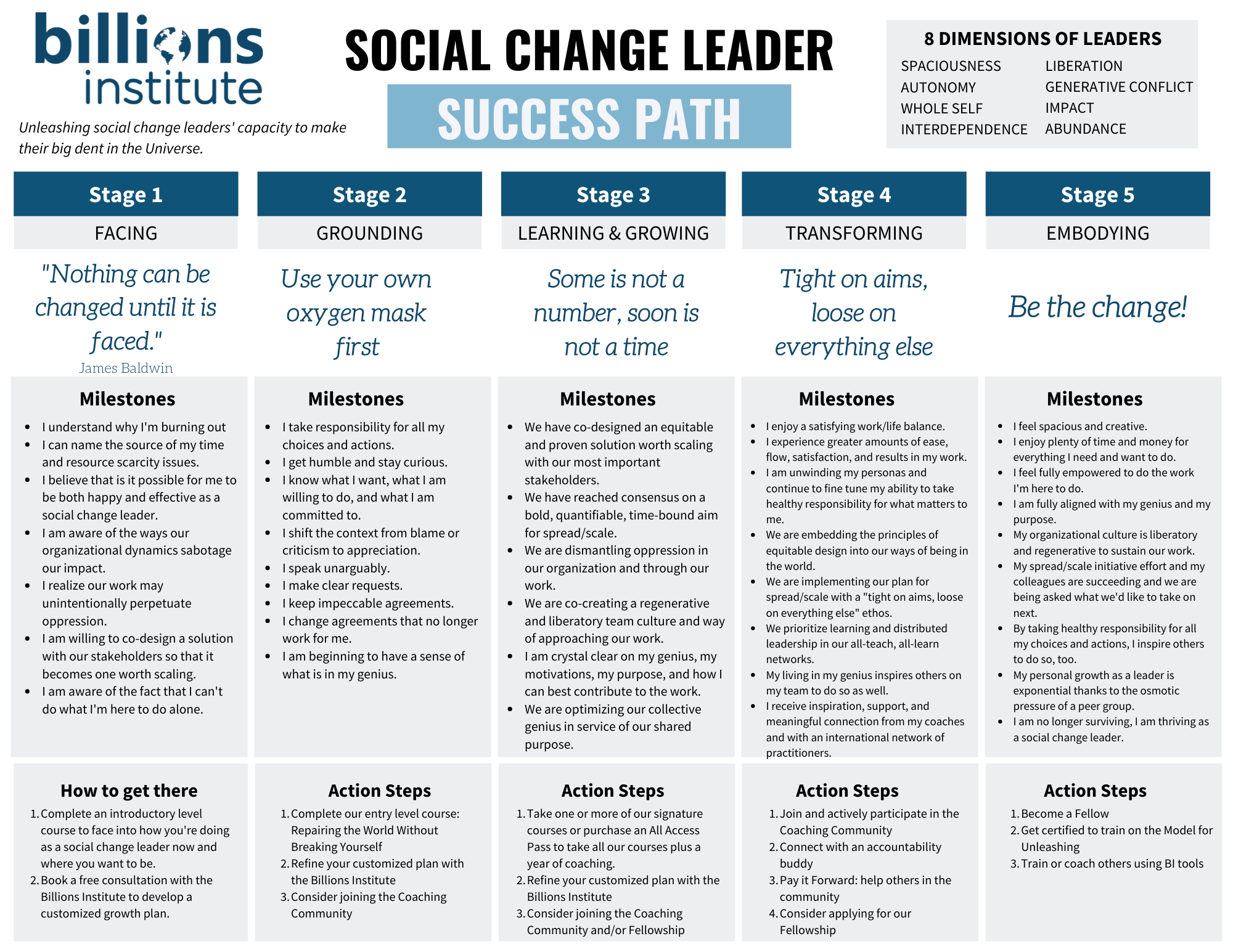 BI Social Change Leader Success Path (1)